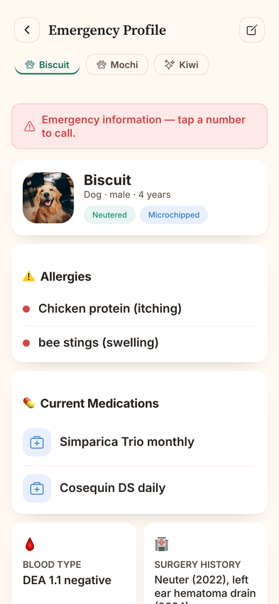 WaggyPet Emergency profile with critical pet details