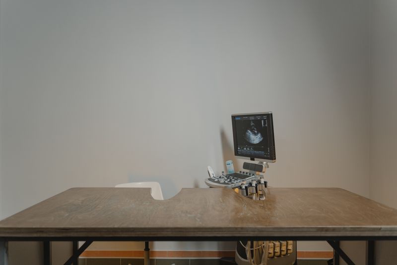 Dog at a veterinary clinic appointment
