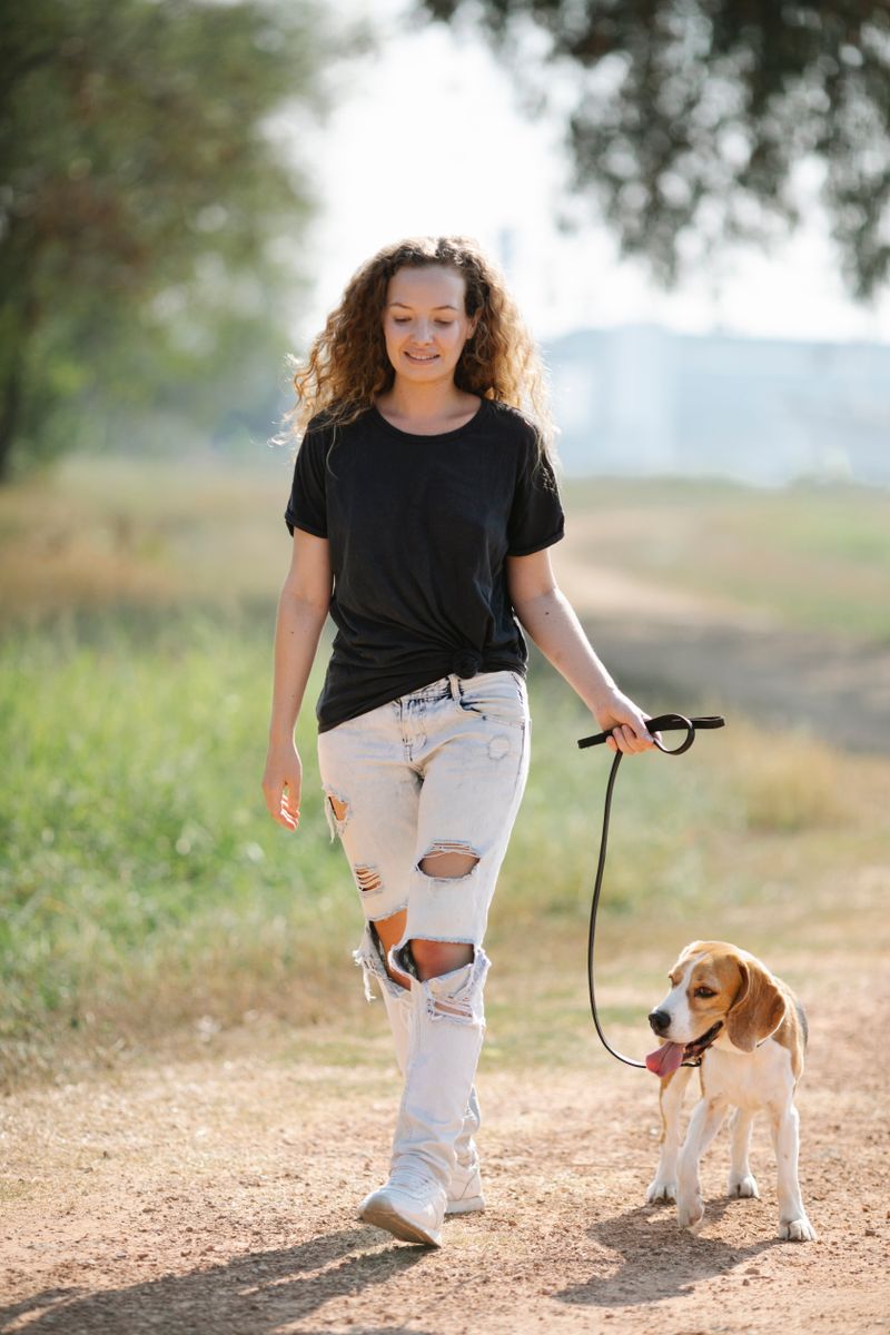People walking their dogs together at a park